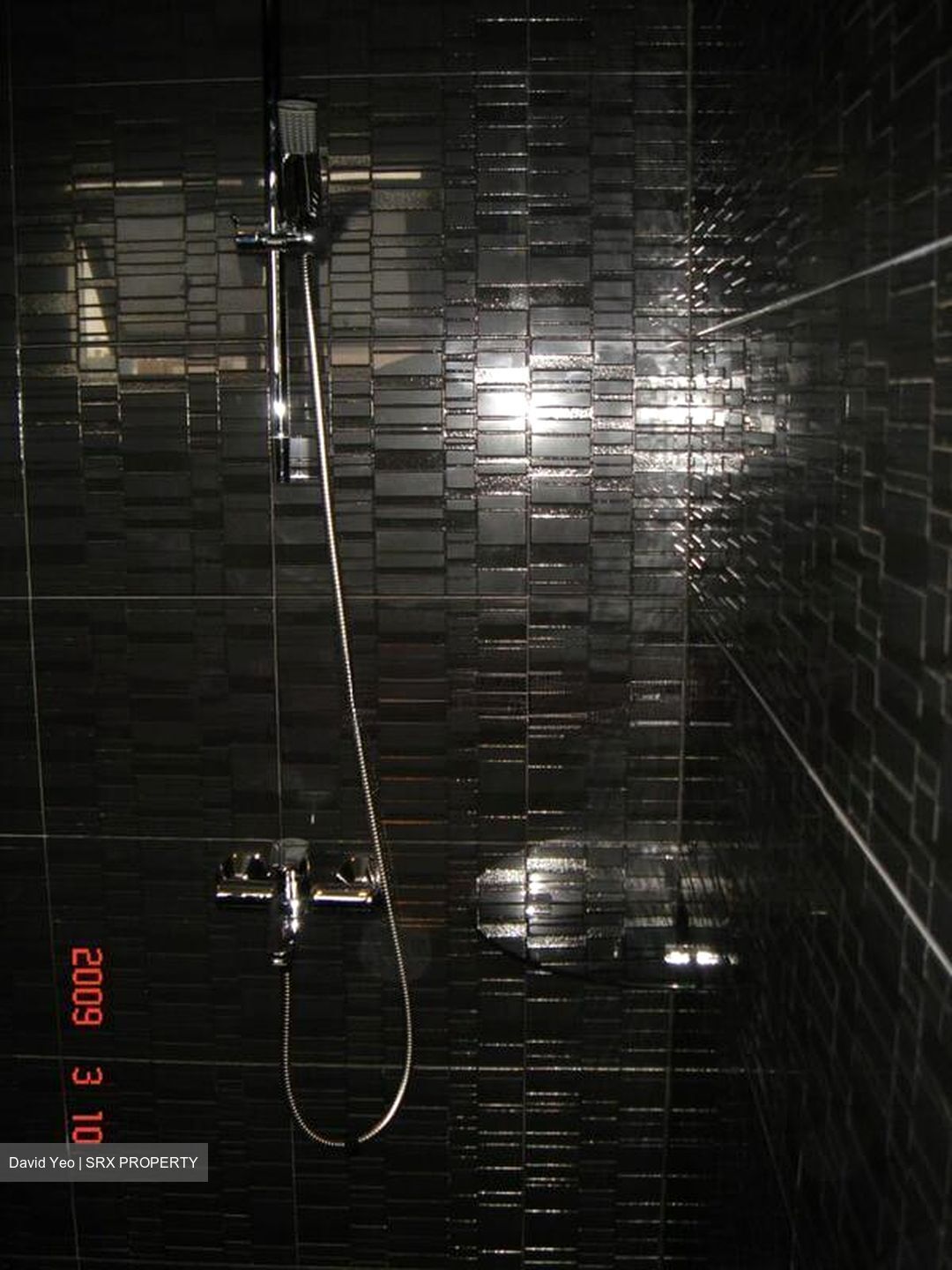 Cavenagh Gardens (D9), Apartment #544142321